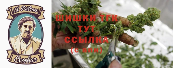 первитин Осинники