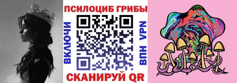 Галлюциногенные грибы прущие грибы Дербент