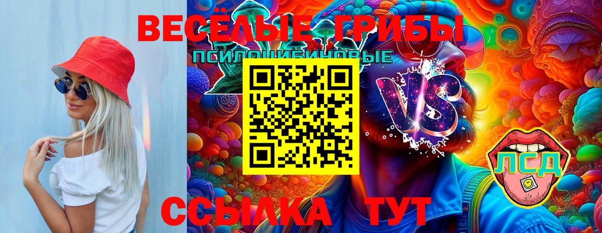 Галлюциногенные грибы Psilocybine cubensis  Дербент 